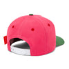 Mini Fuchsia